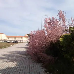 Apartment Casa Nel Parco Sulla, Pisa
